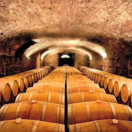 Castello Di Spessa - Residenze D'epoca فندق
