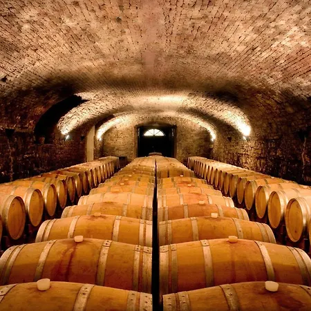 酒店 Castello Di Spessa - Residenze D'epoca 4*